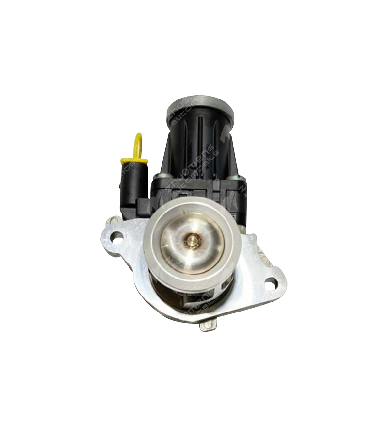 EGR VALFİ-1.9T-10048249-C00001528