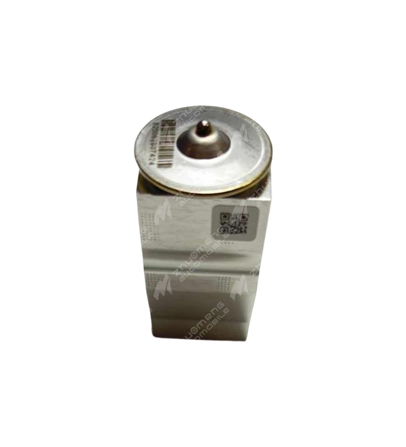 EXPANSION VALVE-C00074200