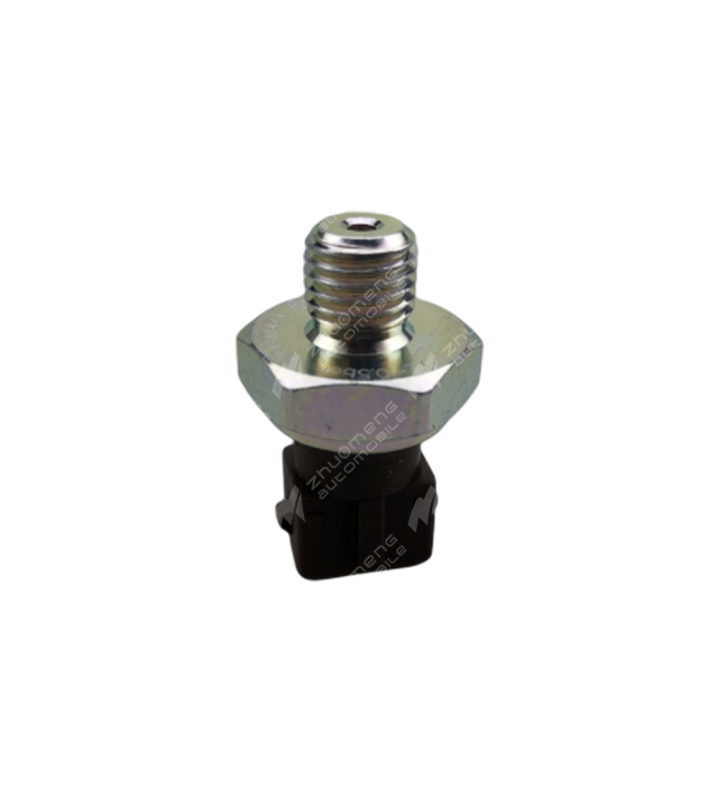 OIL INDUCTION PLUG-C00100280